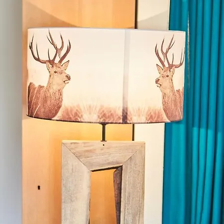 Homely Apartamento Saalbach-Hinterglemm
