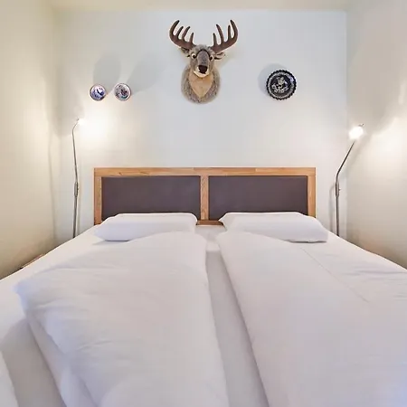 Homely Apartmán Saalbach-Hinterglemm